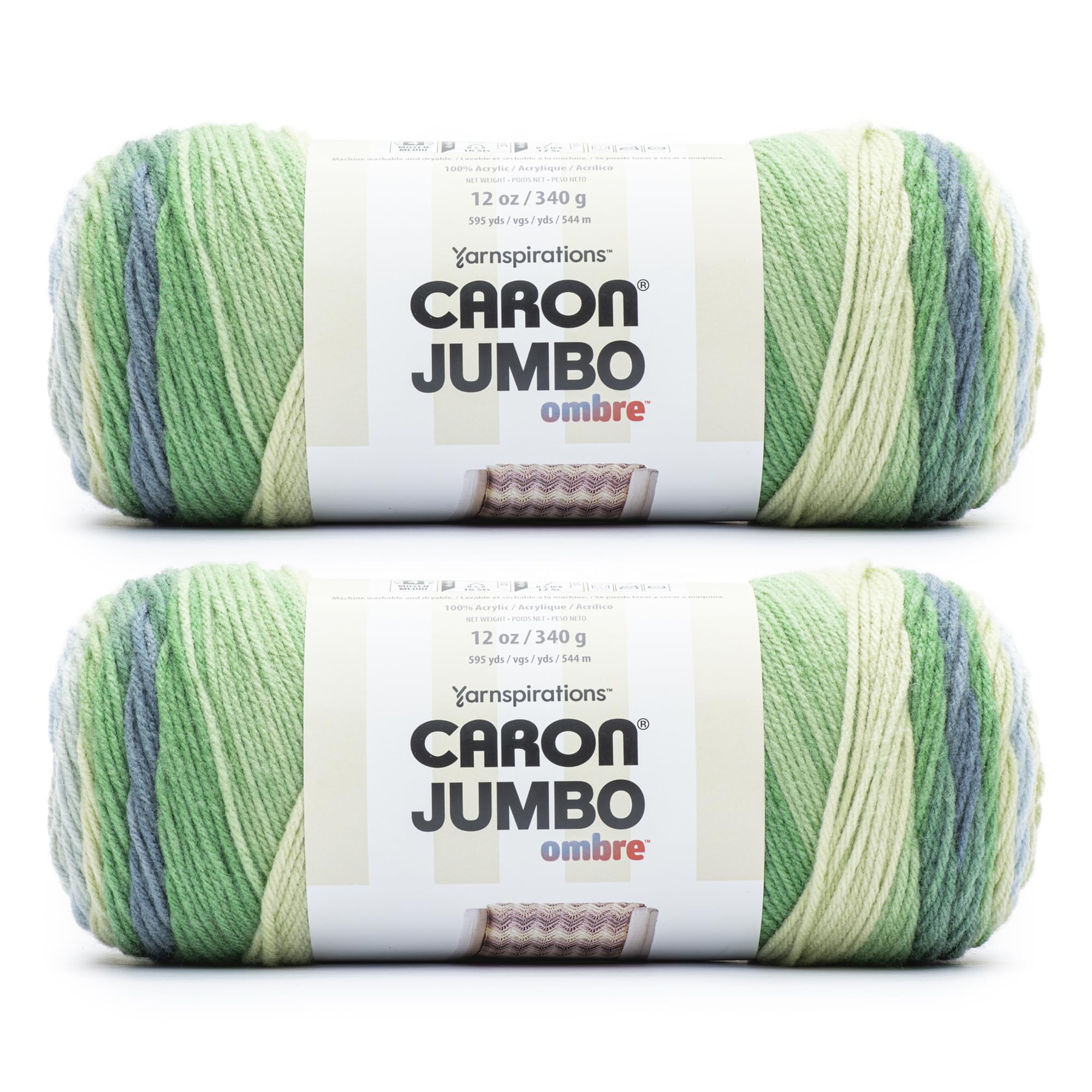 Amazon.com: Caron Jumbo Ombre Lake Mist Yarn - 2 Pack of 12oz/340g